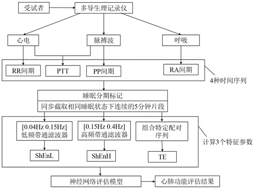 一種量化心肺系統(tǒng)交互作用的分析方法與流程