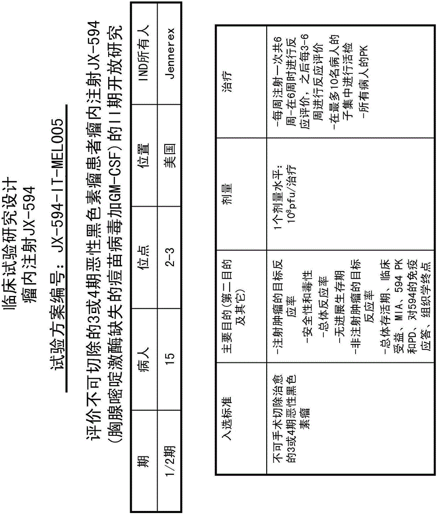 溶瘤痘苗病毒癌症治疗的制作方法与工艺