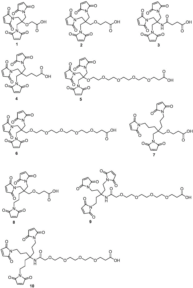 三马来酰亚胺型连接子及其应用的制作方法与工艺