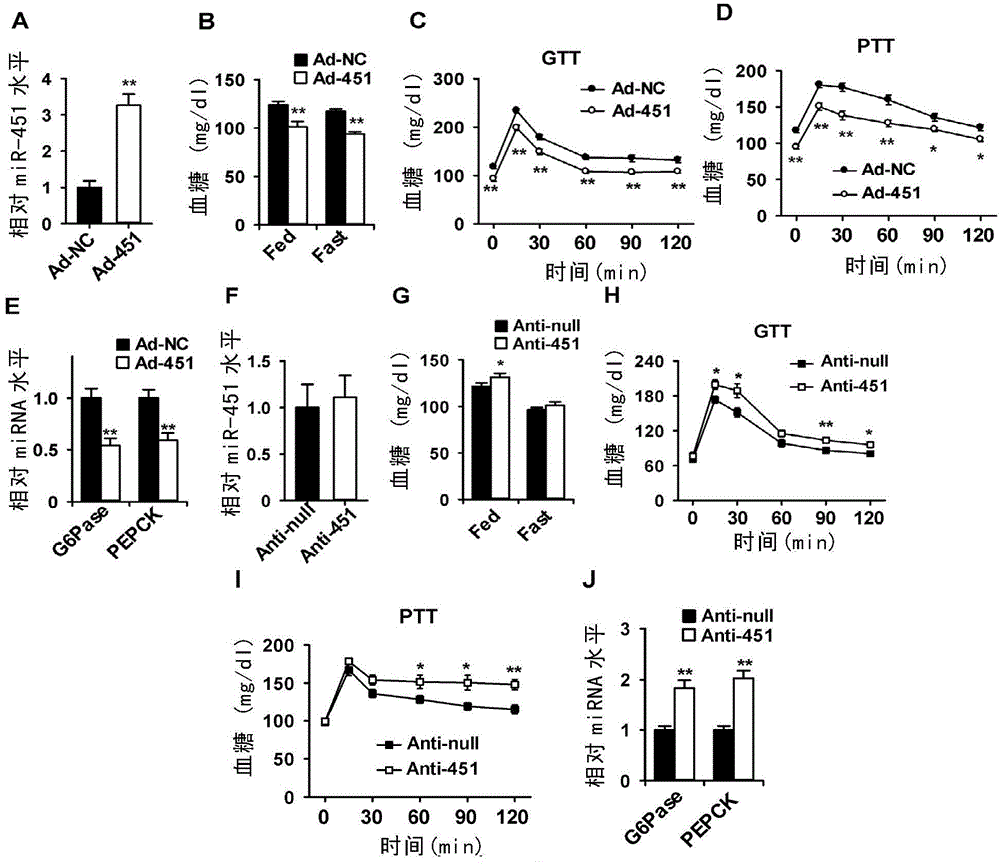 miR-451作为调节血糖的靶标的用途的制作方法与工艺