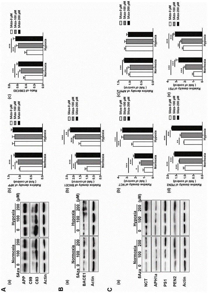 高表達DNMT3b基因治療阿爾茨海默癥的制作方法與工藝