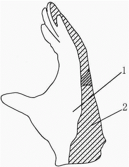 鯉魚皮掌面手套的制作方法與工藝