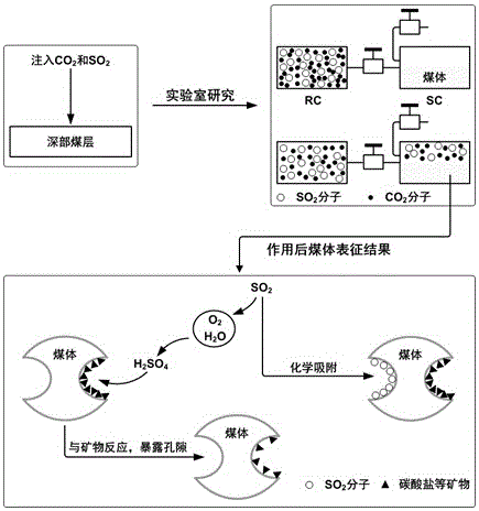 一種強化煤體二氧化碳吸附性能并協(xié)同封存二氧化硫的方法與流程