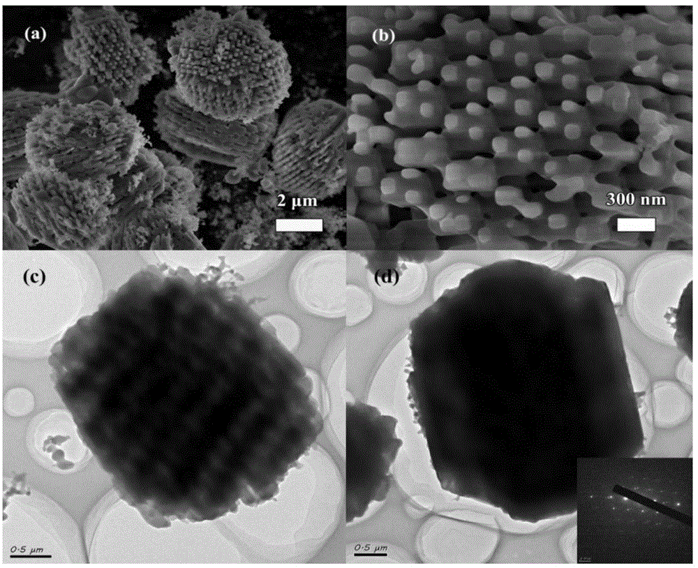 一种具有蛋白石结构的有序大孔-介孔多级孔纯硅分子筛silicalite-1