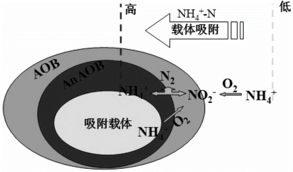 一种城市污水脱氮装置及其应用的利记博彩app