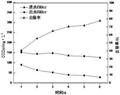 一种废水处理装置及其生物填料的制作方法