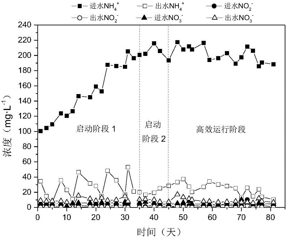 一种絮状污泥和颗粒污泥共存的自养脱氮系统启动及高效运行方法与流程