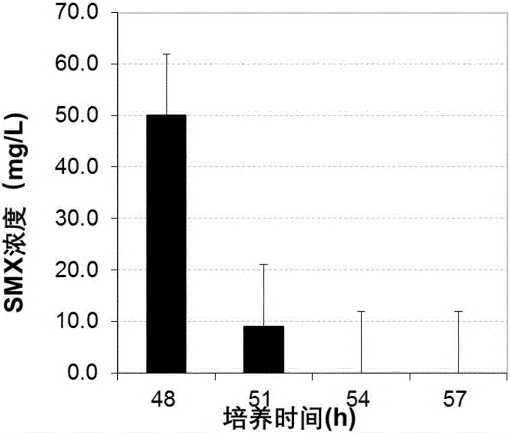 用血红密孔菌降解磺胺类化合物的方法与流程