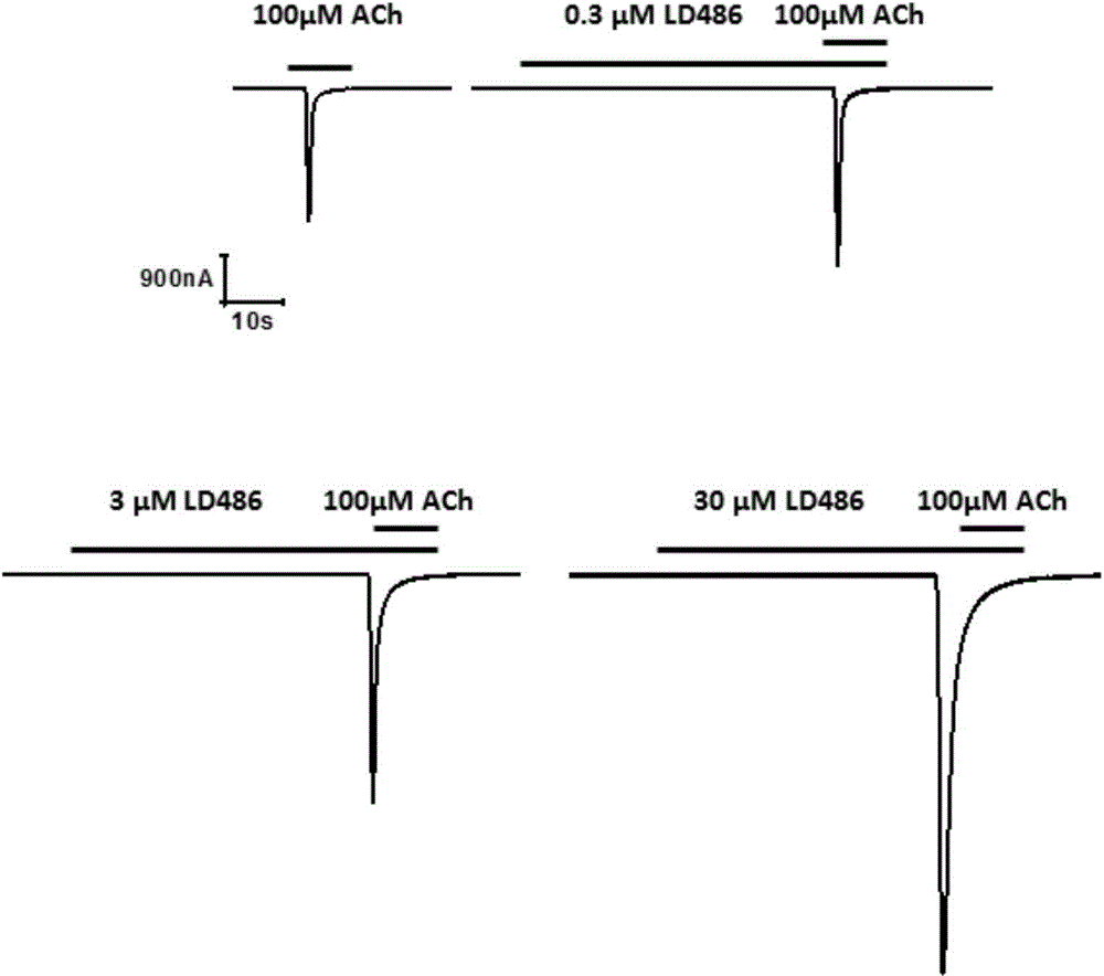 一種噻唑并嘧啶酮化合物及其制備方法和應用與流程