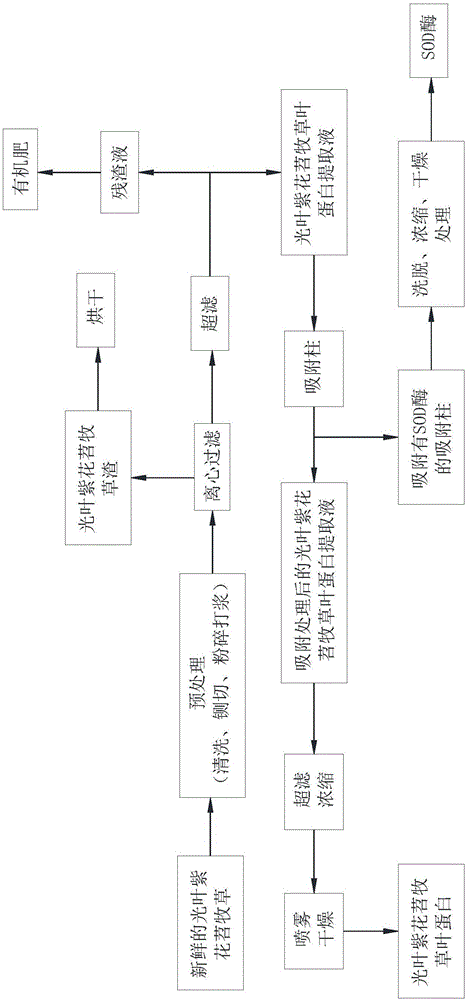 一種牧草葉蛋白提取工藝的制作方法與工藝