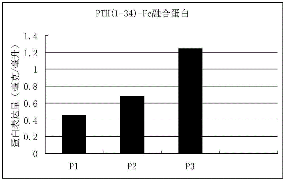 一种人甲状旁腺激素PTH(1-34)融合蛋白及其应用的制作方法与工艺