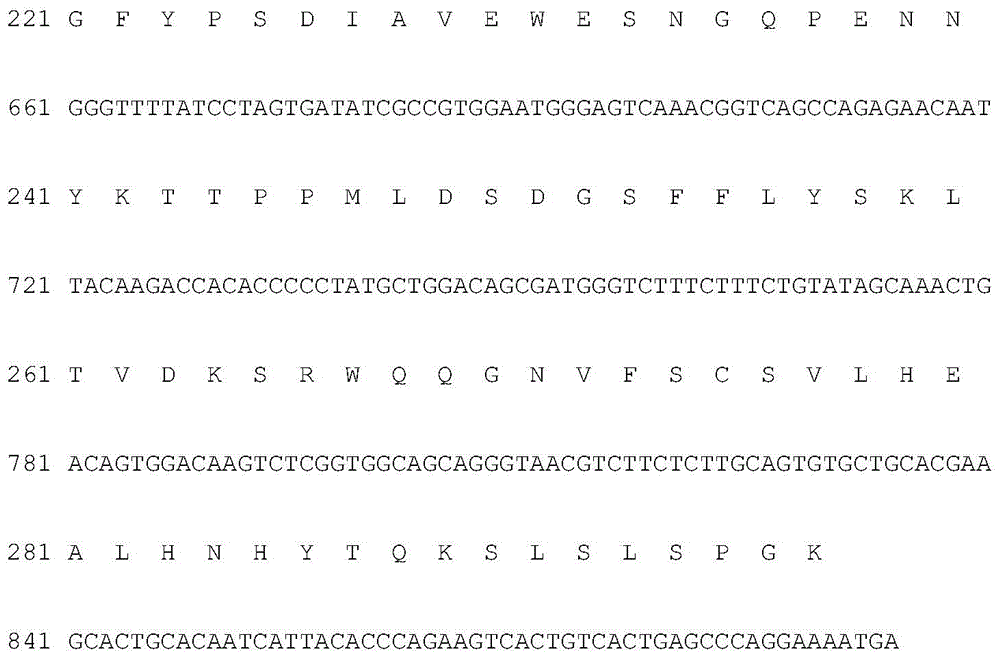 Exendin-4类似物融合蛋白及其制备方法和用途与流程