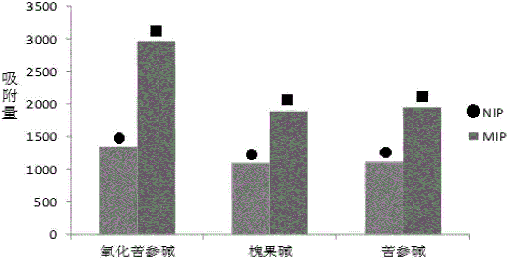 砂生槐三種生物堿同時提取的分子印跡聚合物的制備及萃取方法與流程