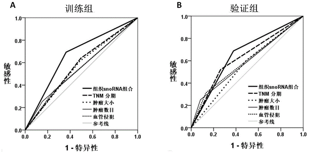 由组织snoRNA组成的肝癌复发风险预测标志物及试剂盒的制作方法与工艺