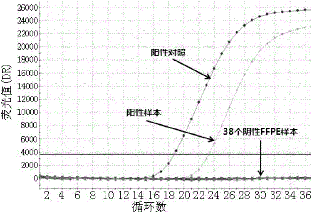 用于人类MET基因外显子14缺失突变检测的核苷酸序列及试剂盒的制作方法与工艺