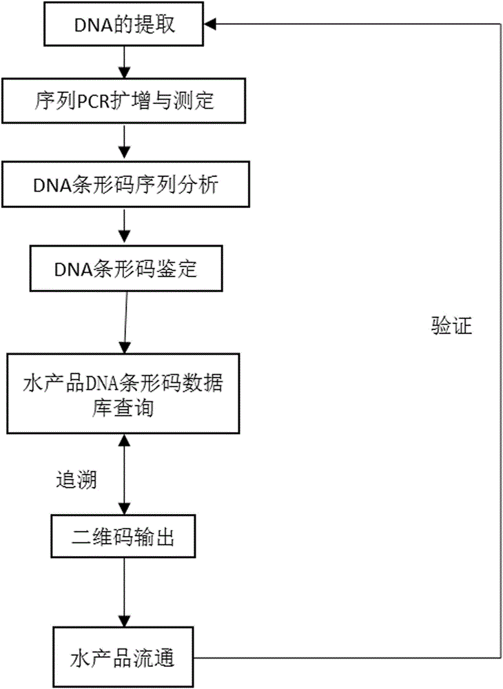 一種基于DNA條形碼技術的魚類及其生肉制品品質(zhì)監(jiān)管方法及其系統(tǒng)與流程