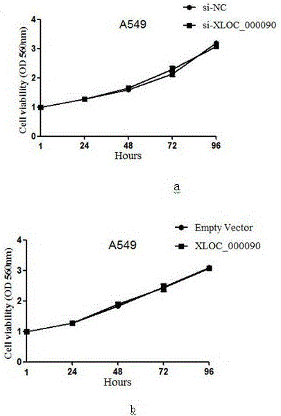 長鏈非編碼RNA XLOC_000090在肺癌中的鑒定和用途的制作方法與工藝