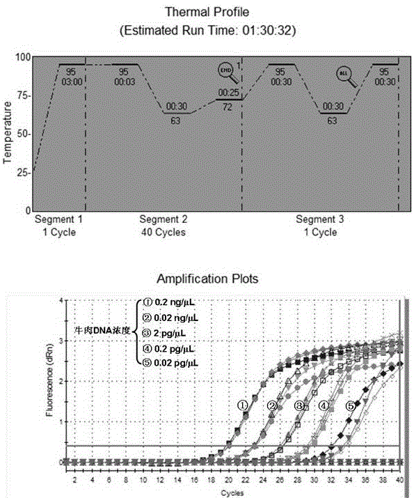 一種qPCR鑒定牛肉的方法與流程