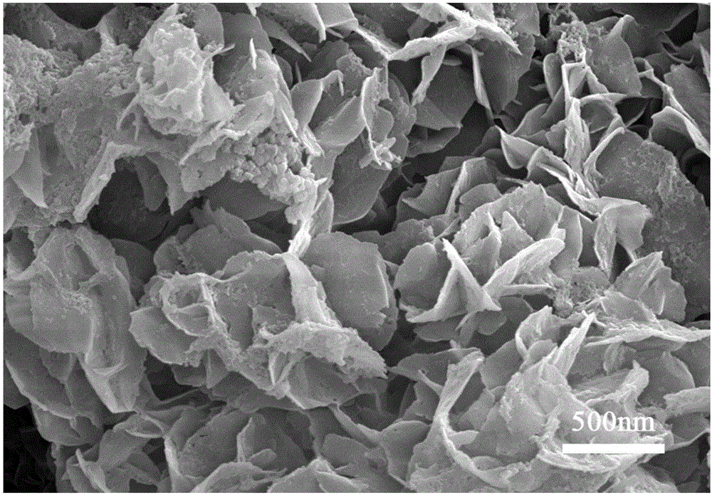 一种生物医用钛合金表面的钙磷涂层的电化学制备方法与流程