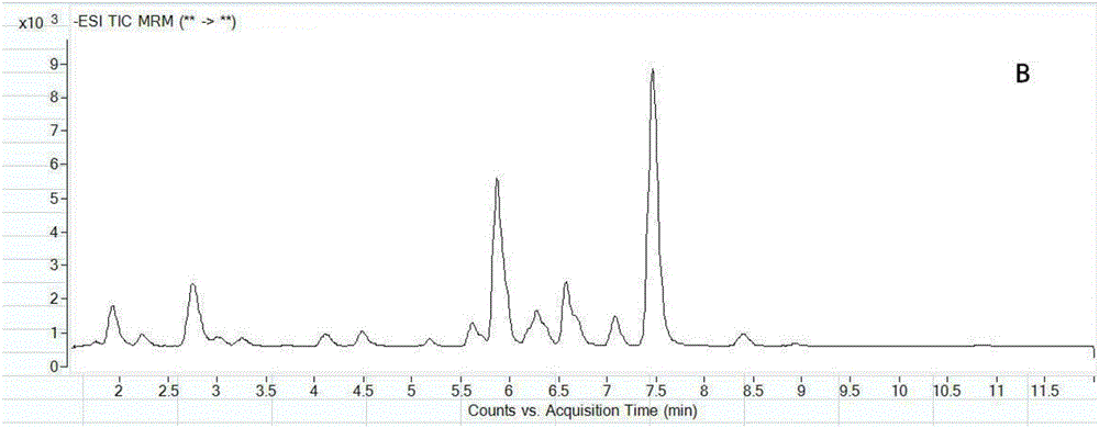 HPLC‑MS‑MS测定王老吉凉茶成分含量的方法与流程