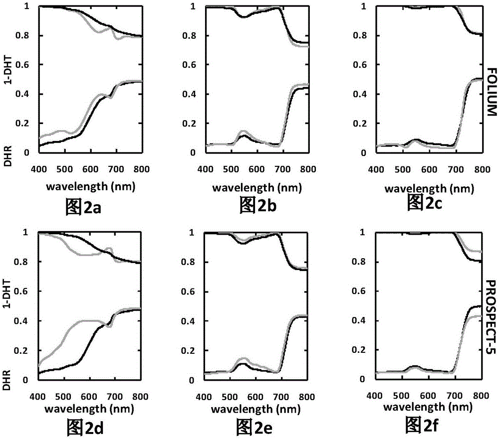 FOLIUM模型与多色素叶片光谱模拟方法与流程