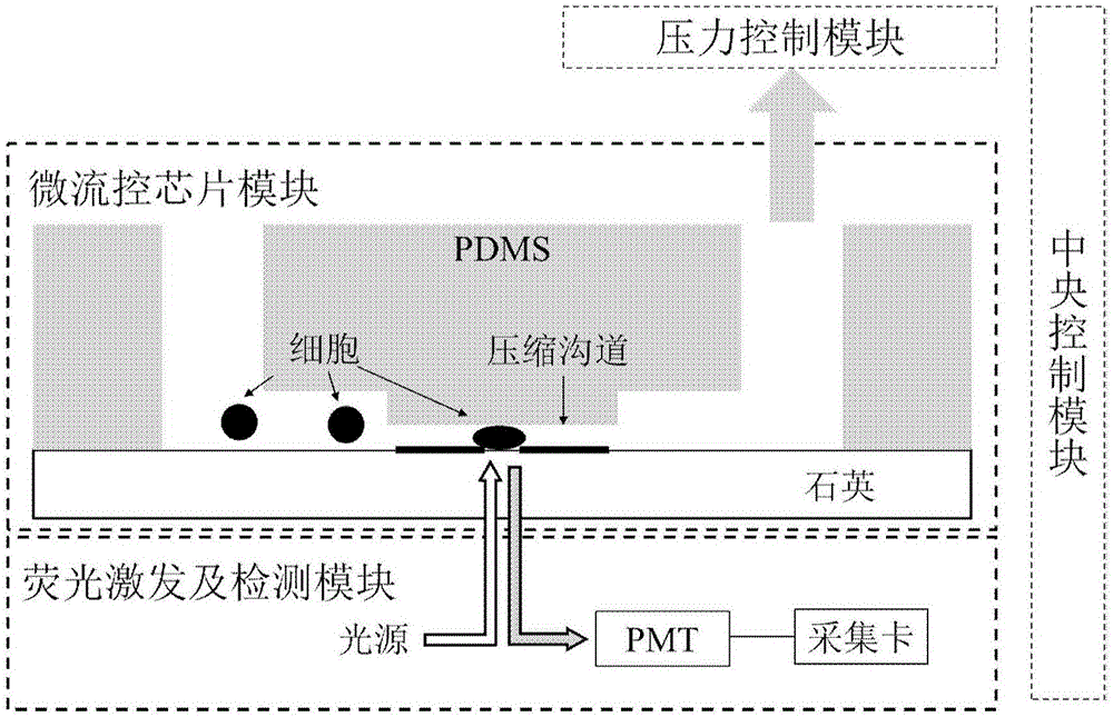 一种单细胞蛋白检测系统及其应用的制作方法与工艺