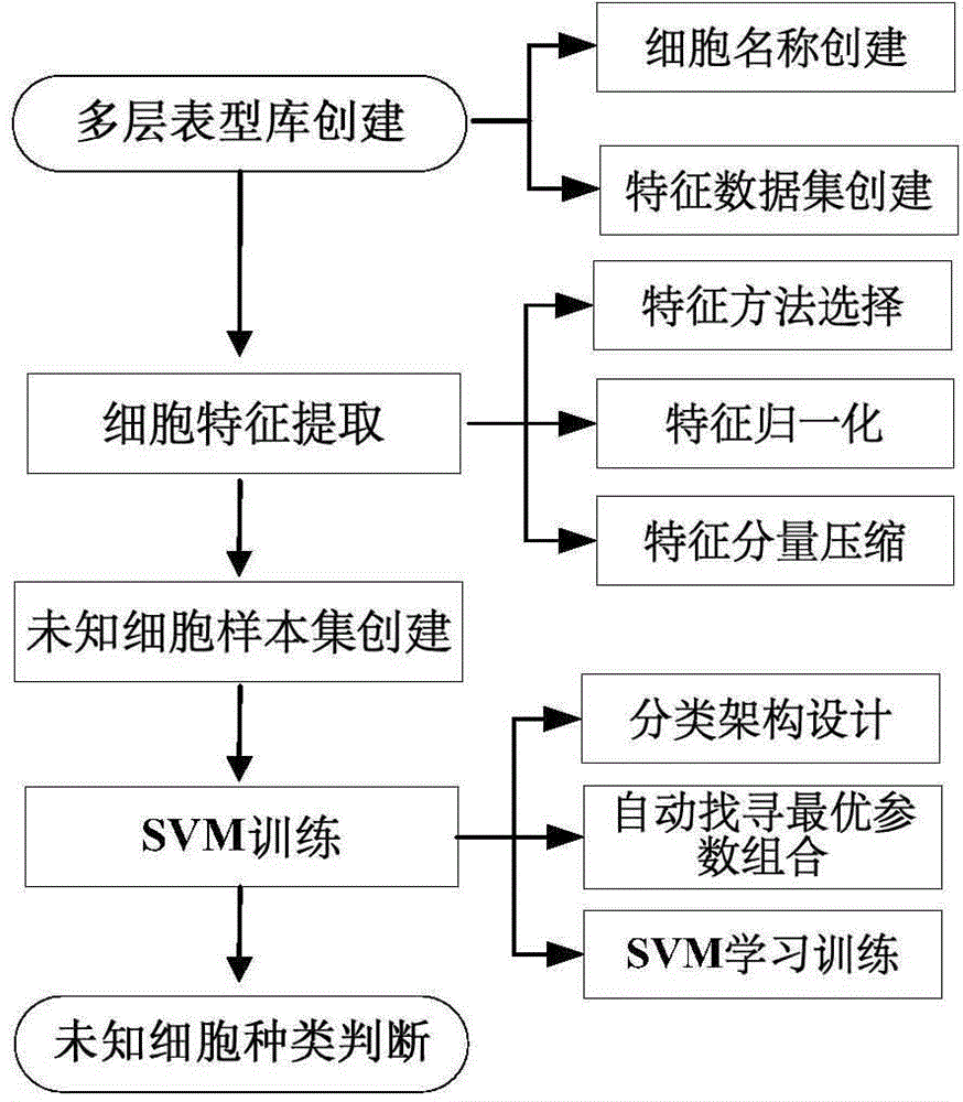 基于单细胞表现型数据库的表型数据分析处理方法与流程