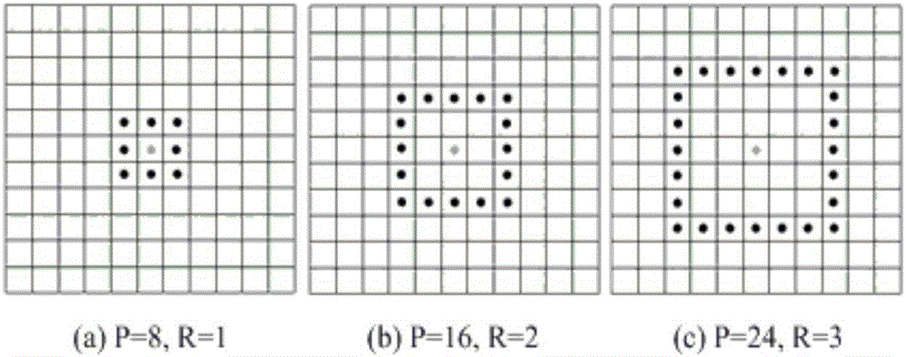 基于块稀疏结构低秩表示的单样本人脸识别方法与流程