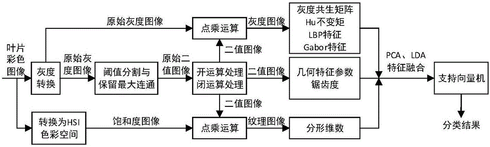 葉片圖像多特征融合的植物種類識別方法及裝置與流程