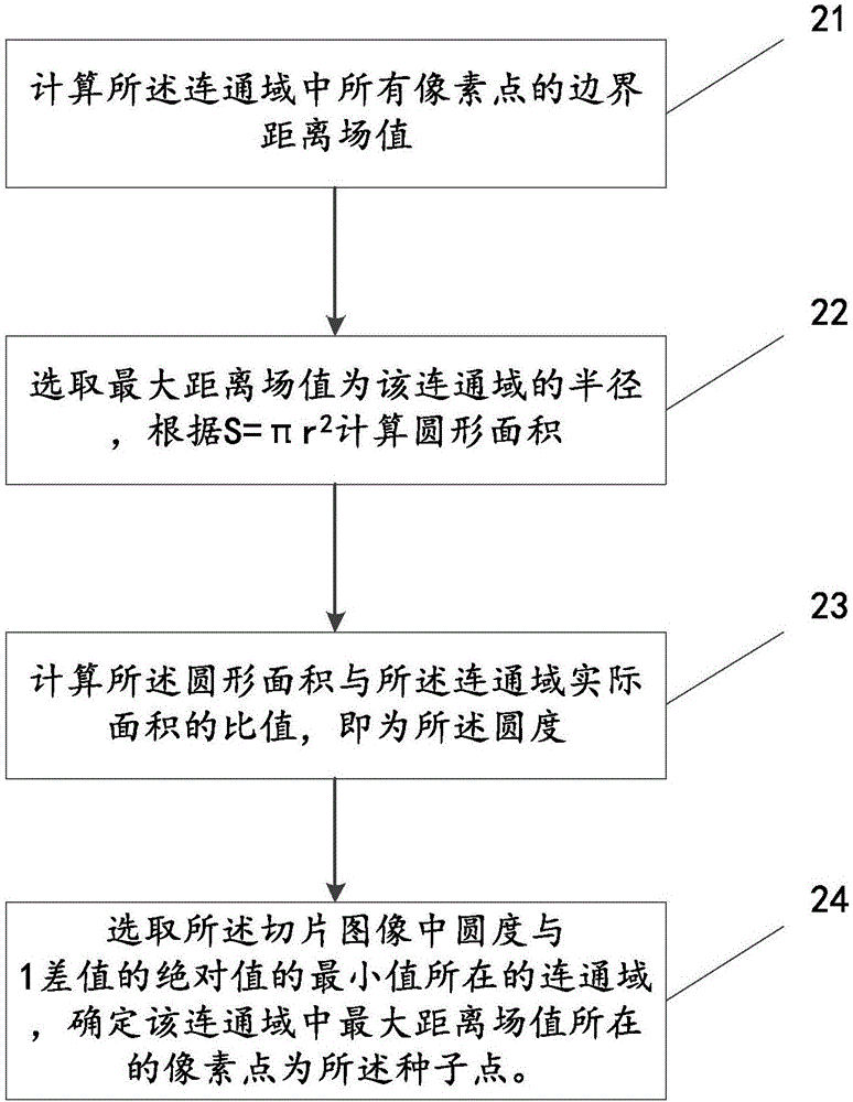 血管提取方法与流程