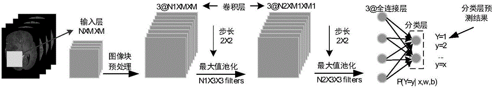 基于深度神经网络和多模态MRI图像的脑肿瘤分割方法与流程