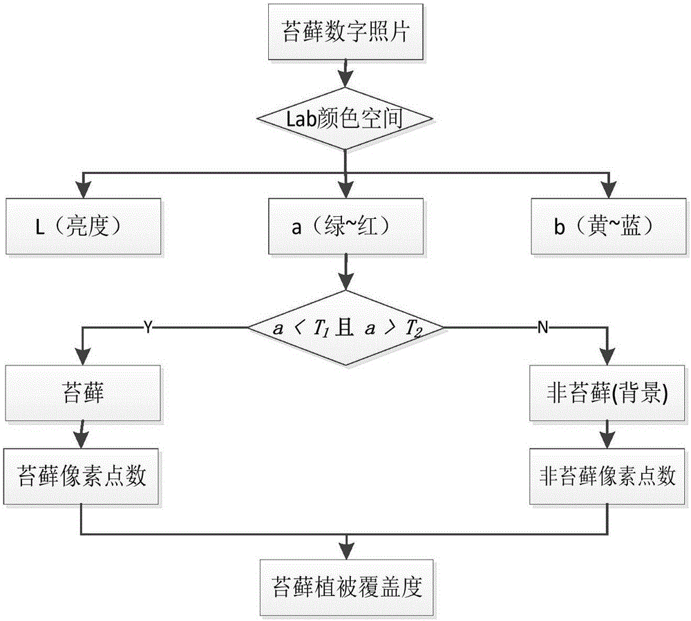 一種基于Lab顏色空間算法的提取苔蘚覆蓋度的方法與流程