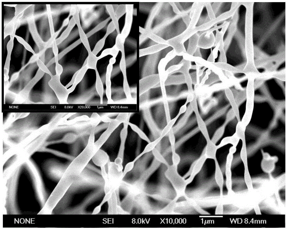 具有网状表层的原位Al掺杂SiC纳米线的制备及应用的制作方法与工艺