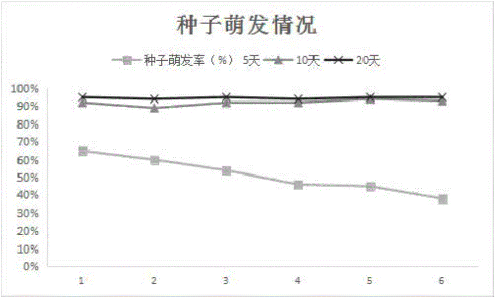 一種種子球及其制作方法與流程