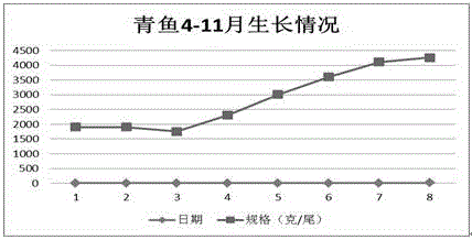 一种循环流水养鱼系统养殖南美白对虾的方法与流程