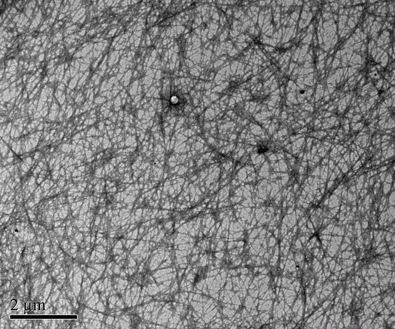 基于雙分子去氫膽酸衍生物鹽的水凝膠及其制備方法與流程