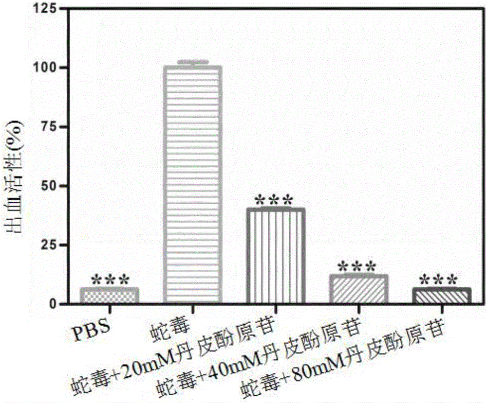 丹皮酚原苷在制備治療蛇傷藥物中的應(yīng)用及其提取方法與流程