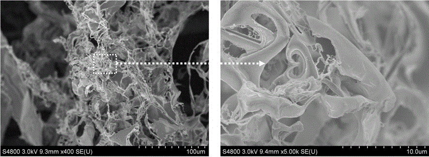一种丝素蛋白微纳米纤维多孔支架及其制备方法与流程