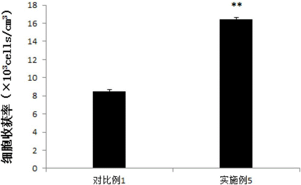 牙龈间充质干细胞的原代分离方法与流程