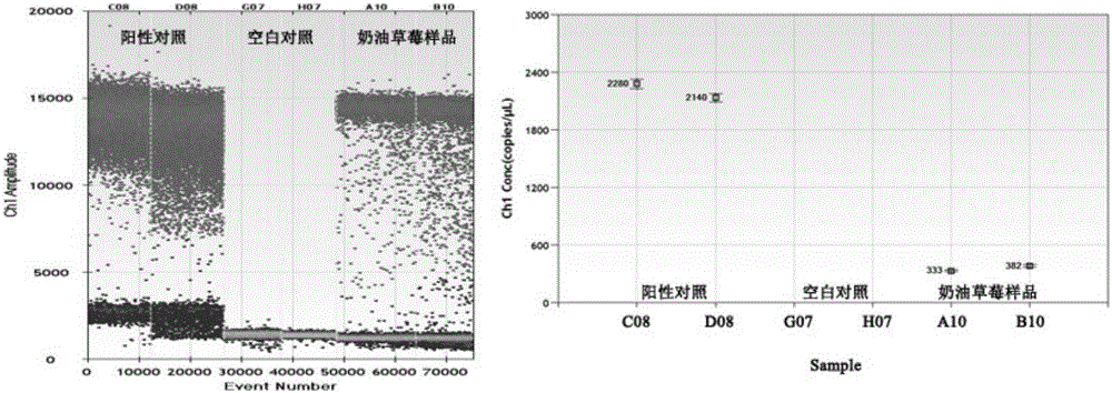 一種基于微滴數(shù)字PCR方法快速定量篩查草莓中沙門氏菌的方法與流程