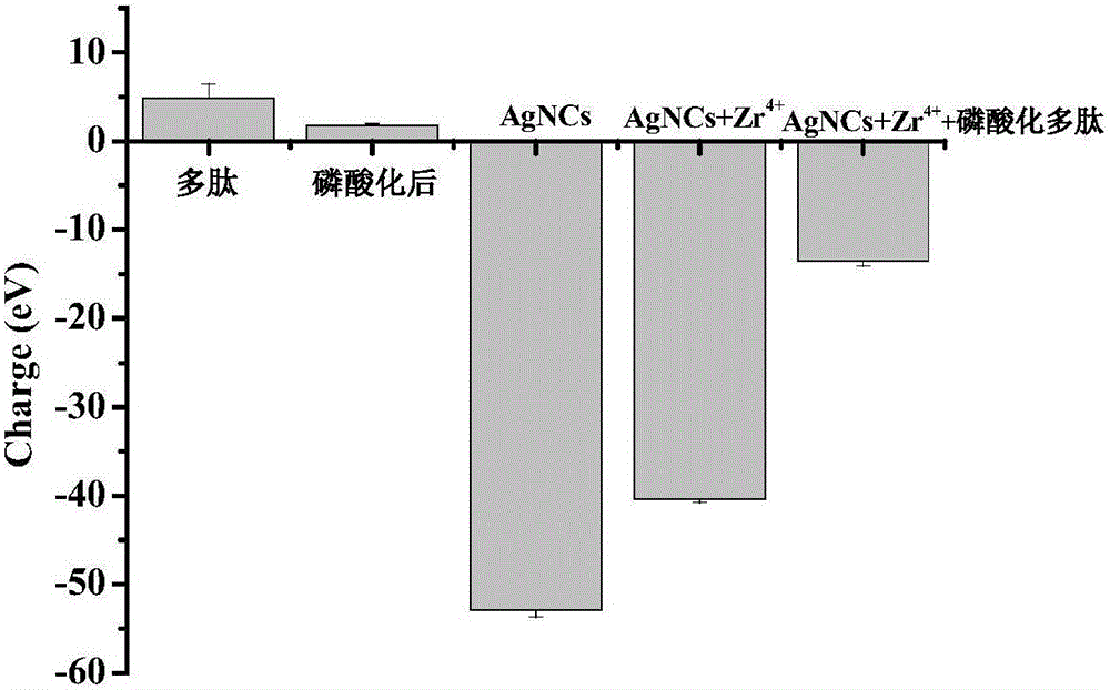 一種基于比色法或電化學(xué)法測定蛋白激酶PKA的活性的方法與流程