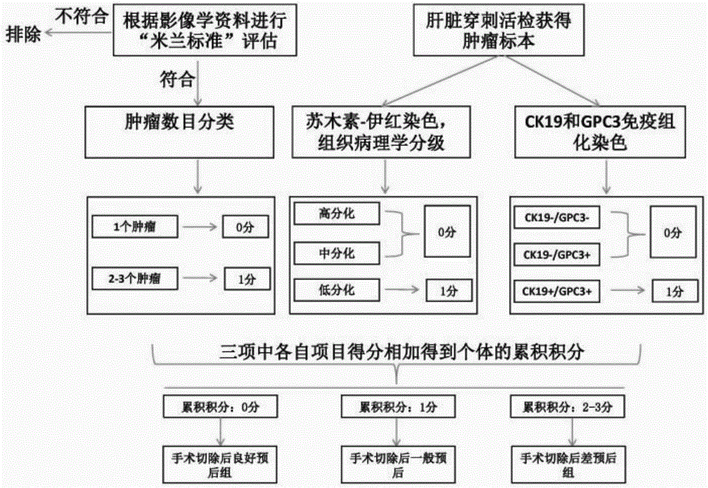 对肝细胞癌患者进行肝细胞癌根治切除术预后情况分组的方法、系统以及试剂盒与流程