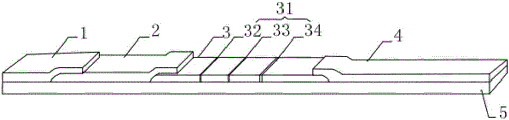 一種H?HCG快速免疫診斷層析試紙及其制備方法與流程