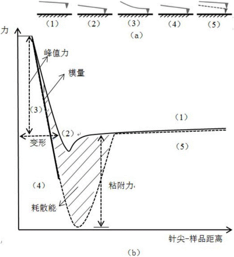 一種基于原子力顯微技術(shù)的瀝青混合料力學(xué)特性研究方法與流程