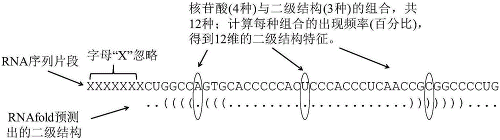 基于獨(dú)立平衡Boosting算法的N1甲基化腺苷位點(diǎn)預(yù)測方法與流程