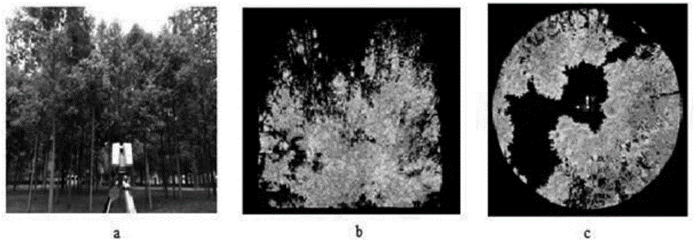 一种三维激光点云提取植被冠层聚集度指数的方法与流程