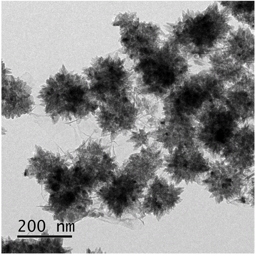 海胆状纳米TixSn1‑xO2/石墨烯三维复合材料的制备方法及其在锂离子电池负极上的应用与流程