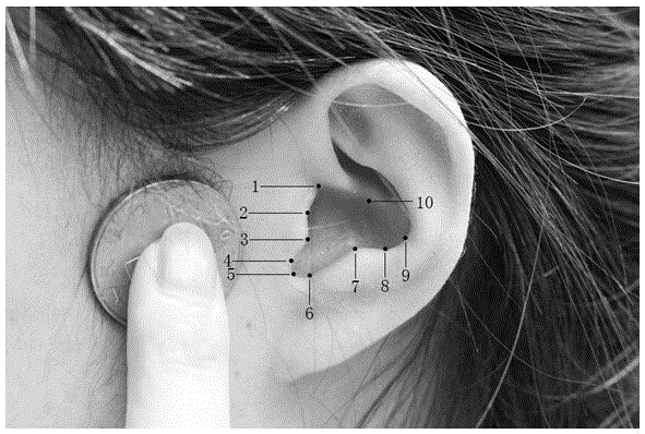 一種耳甲腔輪廓的獲取方法與流程