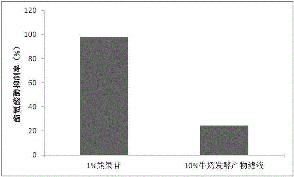 牛奶發(fā)酵產(chǎn)物濾液及其制備方法和應(yīng)用與流程