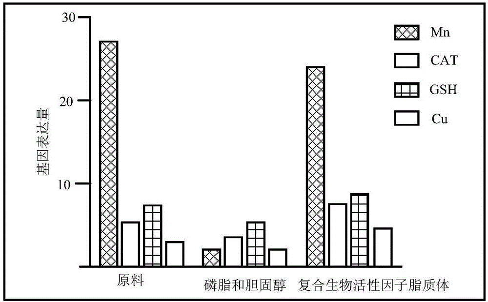 復(fù)合生物活性因子脂質(zhì)體及其制備方法與流程